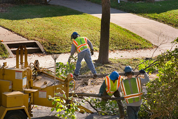 Lawn Drainage Solutions in Holly Springs, MS